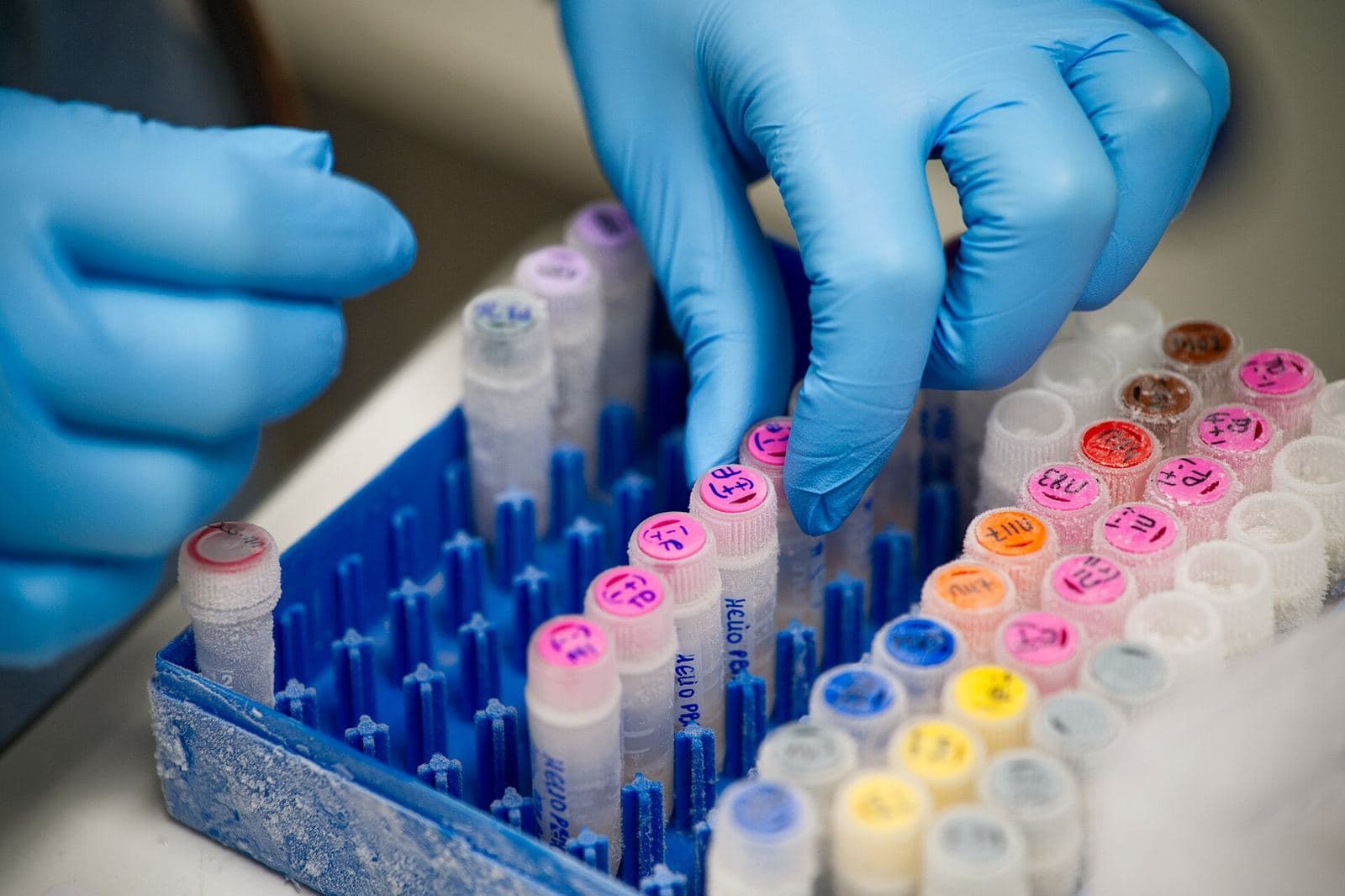 Gloved hands sorting colour-coded sample tubes from a cold-storage box