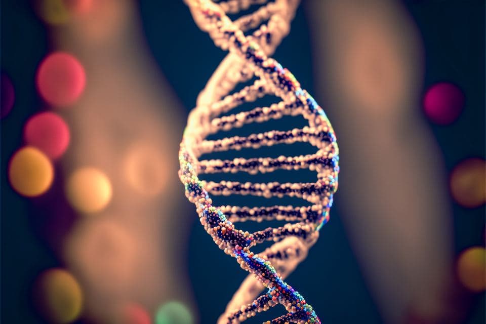A rendered double helix against a soft, out-of-focus background