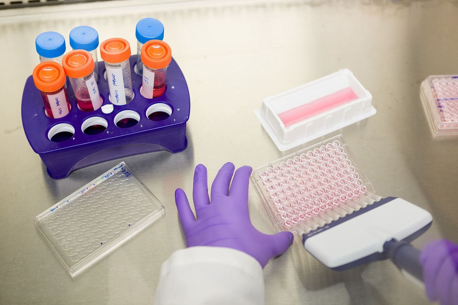 Sample vials in a rack beside a multichannel pipette and assay plate